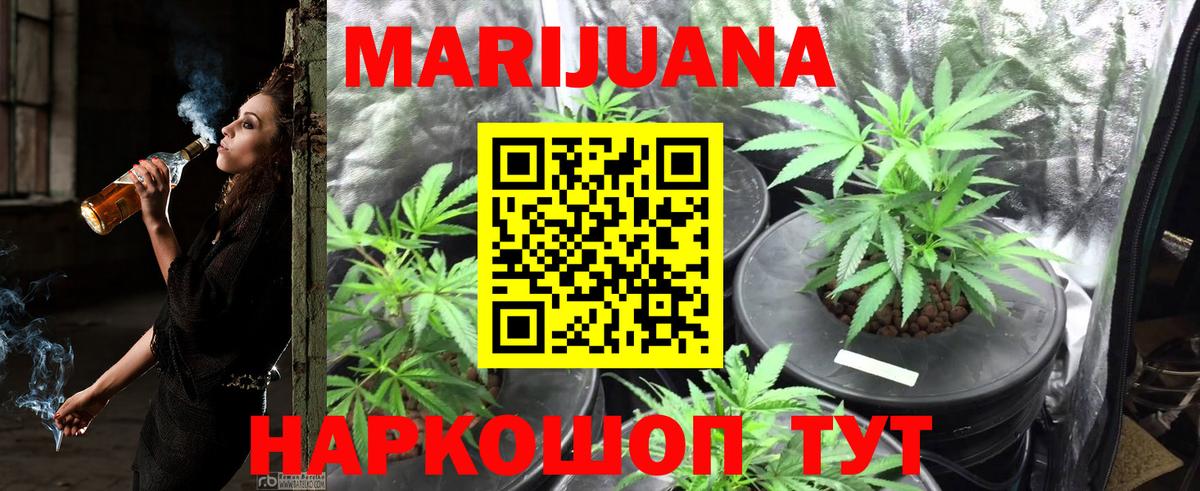 Каннабис гибрид  Вход с VPN  Вольск  Бошки марихуана ГИДРОПОН  Бошки марихуана план  Конопля семена 